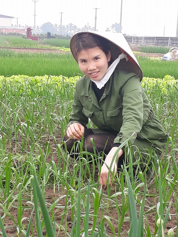 Safe vegetables Model in Ba Vi – Ha Noi